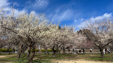 偕楽園本園に投稿された画像（2024/9/9）