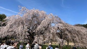 新宿御苑に投稿された画像（2024/9/9）