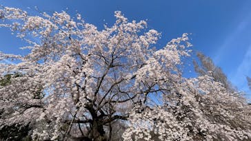 新宿御苑に投稿された画像（2024/9/9）