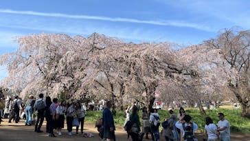 新宿御苑に投稿された画像（2024/9/9）