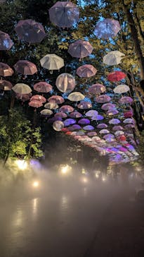 ムーミンバレーパークに投稿された画像（2024/9/9）