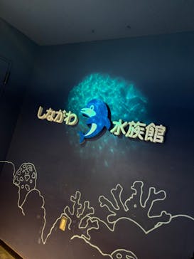 しながわ水族館に投稿された画像（2024/9/9）