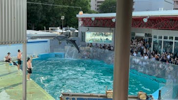 しながわ水族館に投稿された画像（2024/9/9）