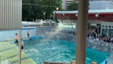 しながわ水族館に投稿された画像（2024/9/9）