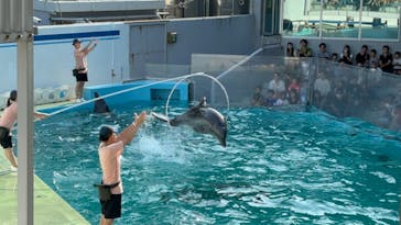 しながわ水族館に投稿された画像（2024/9/9）