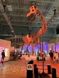 巨大恐竜展2024に投稿された画像（2024/9/9）