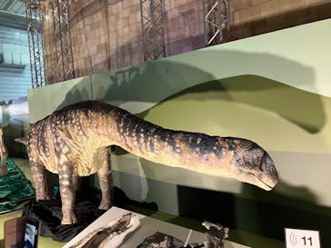 巨大恐竜展2024に投稿された画像（2024/9/9）