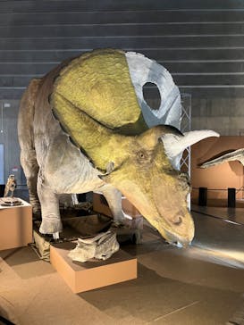 巨大恐竜展2024に投稿された画像（2024/9/9）