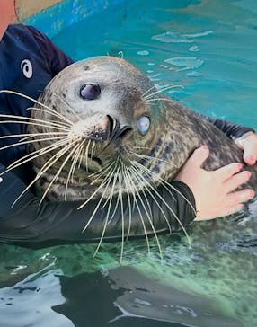 南知多ビーチランド＆南知多おもちゃ王国に投稿された画像（2024/9/8）