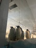 名古屋港水族館に投稿された画像（2024/9/9）