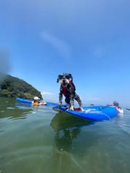 Puka Pukaに投稿された画像（2024/9/9）