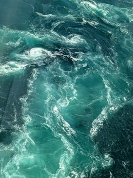 徳島県立 渦の道に投稿された画像（2024/9/9）