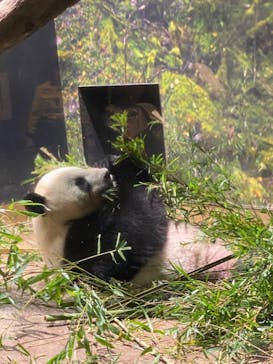恩賜上野動物園に投稿された画像（2024/9/9）
