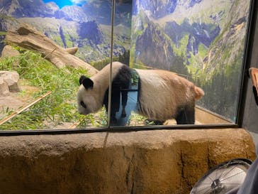 恩賜上野動物園に投稿された画像（2024/9/9）