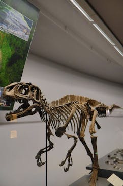 福井県立恐竜博物館に投稿された画像（2024/9/9）