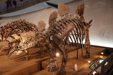 福井県立恐竜博物館に投稿された画像（2024/9/9）