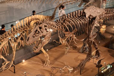 福井県立恐竜博物館に投稿された画像（2024/9/9）