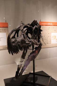 福井県立恐竜博物館に投稿された画像（2024/9/9）