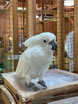 長崎バイオパークに投稿された画像（2024/9/9）