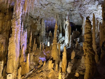 おきなわワールドに投稿された画像（2024/9/9）