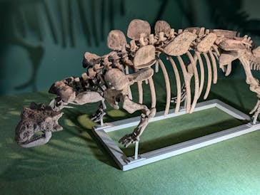 巨大恐竜展2024に投稿された画像（2024/9/9）