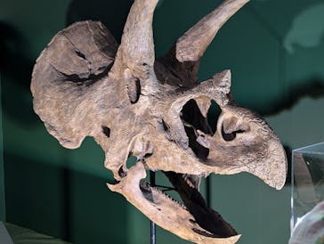 巨大恐竜展2024に投稿された画像（2024/9/9）