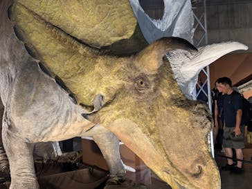 巨大恐竜展2024に投稿された画像（2024/9/9）