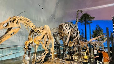 福井県立恐竜博物館に投稿された画像（2024/9/9）