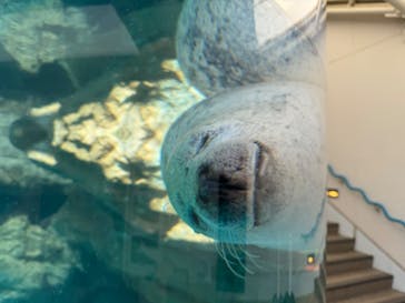 京都水族館に投稿された画像（2024/9/9）