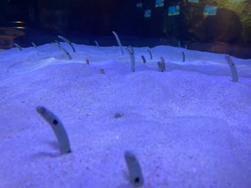 マリンワールド海の中道に投稿された画像（2024/9/9）