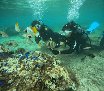 沖縄マリンサービス碧に投稿された画像（2024/9/9）