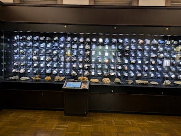 国立科学博物館に投稿された画像（2024/9/9）