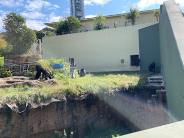 名古屋市東山動植物園に投稿された画像（2024/9/9）