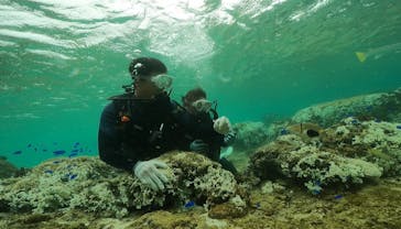 武藤潜水に投稿された画像（2024/9/9）