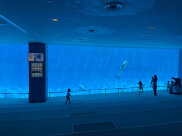名古屋港水族館に投稿された画像（2024/9/9）