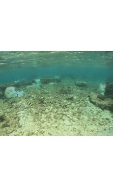 武藤潜水に投稿された画像（2024/9/9）