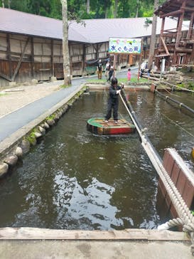 忍者の里　チビッ子忍者村に投稿された画像（2024/9/9）