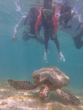 ちゃこたびに投稿された画像（2024/9/9）