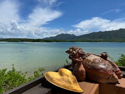 石垣島　ダイビングサービス島人に投稿された画像（2024/9/9）