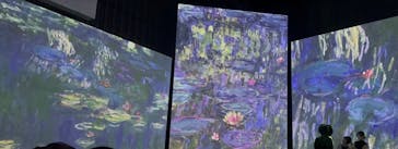 モネ＆フレンズ・アライブに投稿された画像（2024/9/9）