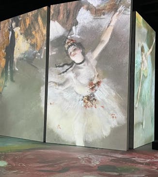 モネ＆フレンズ・アライブに投稿された画像（2024/9/9）