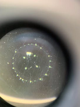 新江ノ島水族館に投稿された画像（2024/9/9）