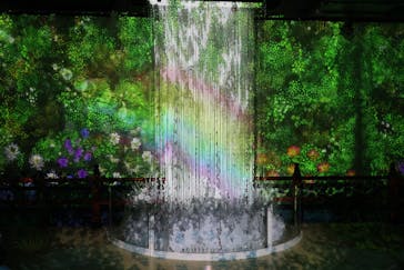 AQUARIUM × ART　atoa×felissimo chocolate museum（フェリシモ チョコレート ミュージアム）に投稿された画像（2024/9/9）