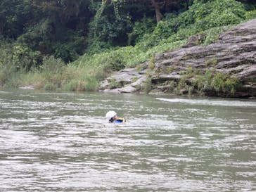 アムスハウス＆フレンズに投稿された画像（2024/9/9）