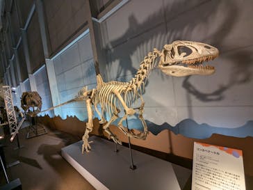巨大恐竜展2024に投稿された画像（2024/9/9）