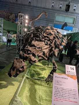 巨大恐竜展2024に投稿された画像（2024/9/9）