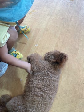 IPCわんわん動物園に投稿された画像（2024/9/9）