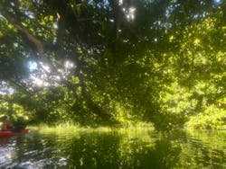 カヌー体験　らぐ～んに投稿された画像（2024/9/9）