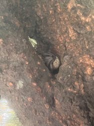 カヌー体験　らぐ～んに投稿された画像（2024/9/9）