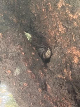 カヌー体験　らぐ～んに投稿された画像（2024/9/9）